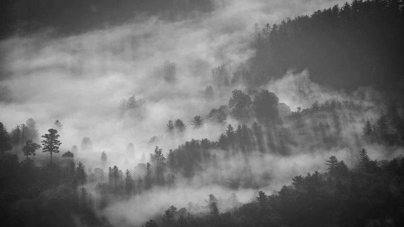 SaaS User Onboarding UX: How Top Products Convert Free Trials into Paying Customers