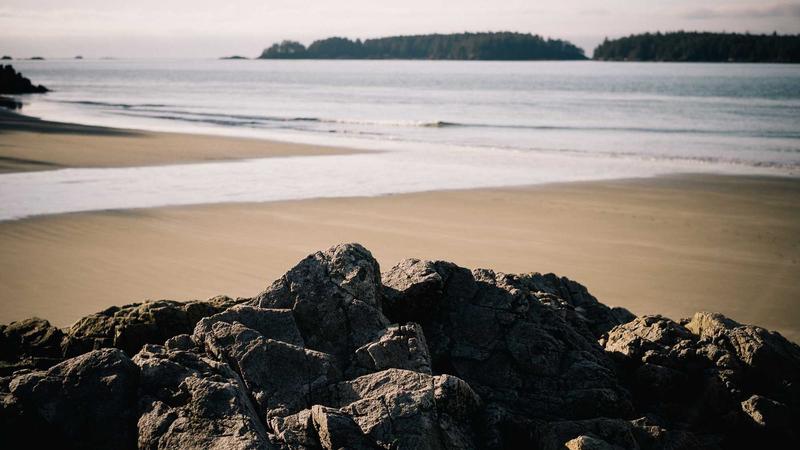 React Native vs Flutter in 2026: The Definitive Comparison