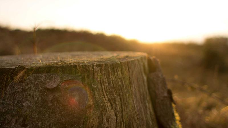 Microinteractions: Small Details With Massive UX Impact