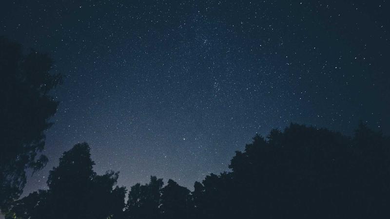 Accessible Animations: Building for Reduced Motion