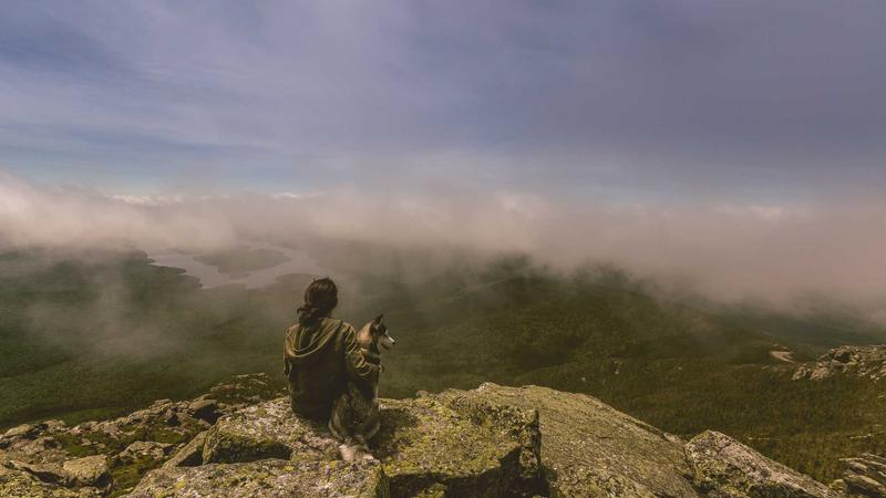 AI Product Recommendations for eCommerce: How Retailers Increase Average Order Value by 35%